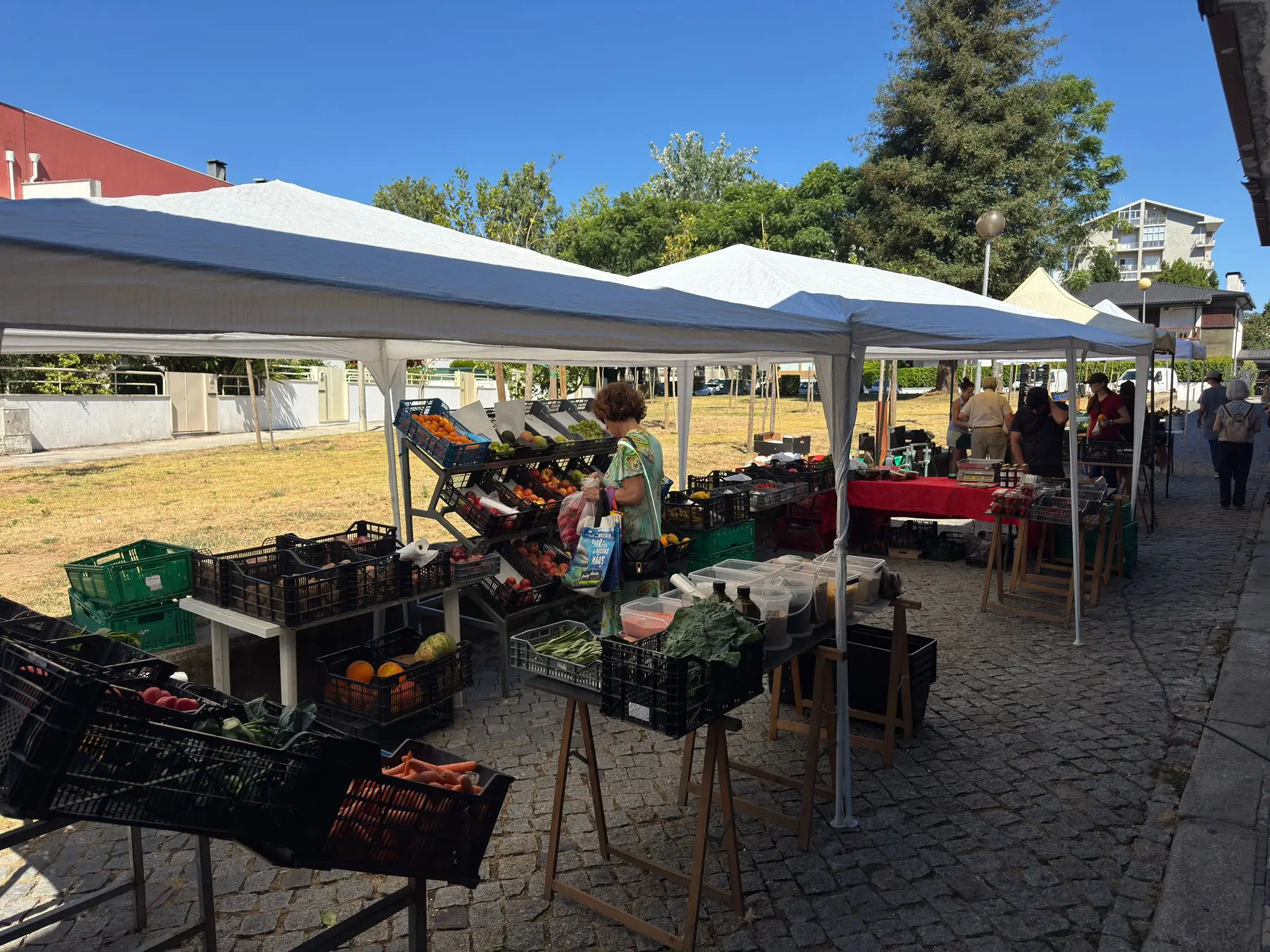 Mercado Biológico no Mercado do Carandá