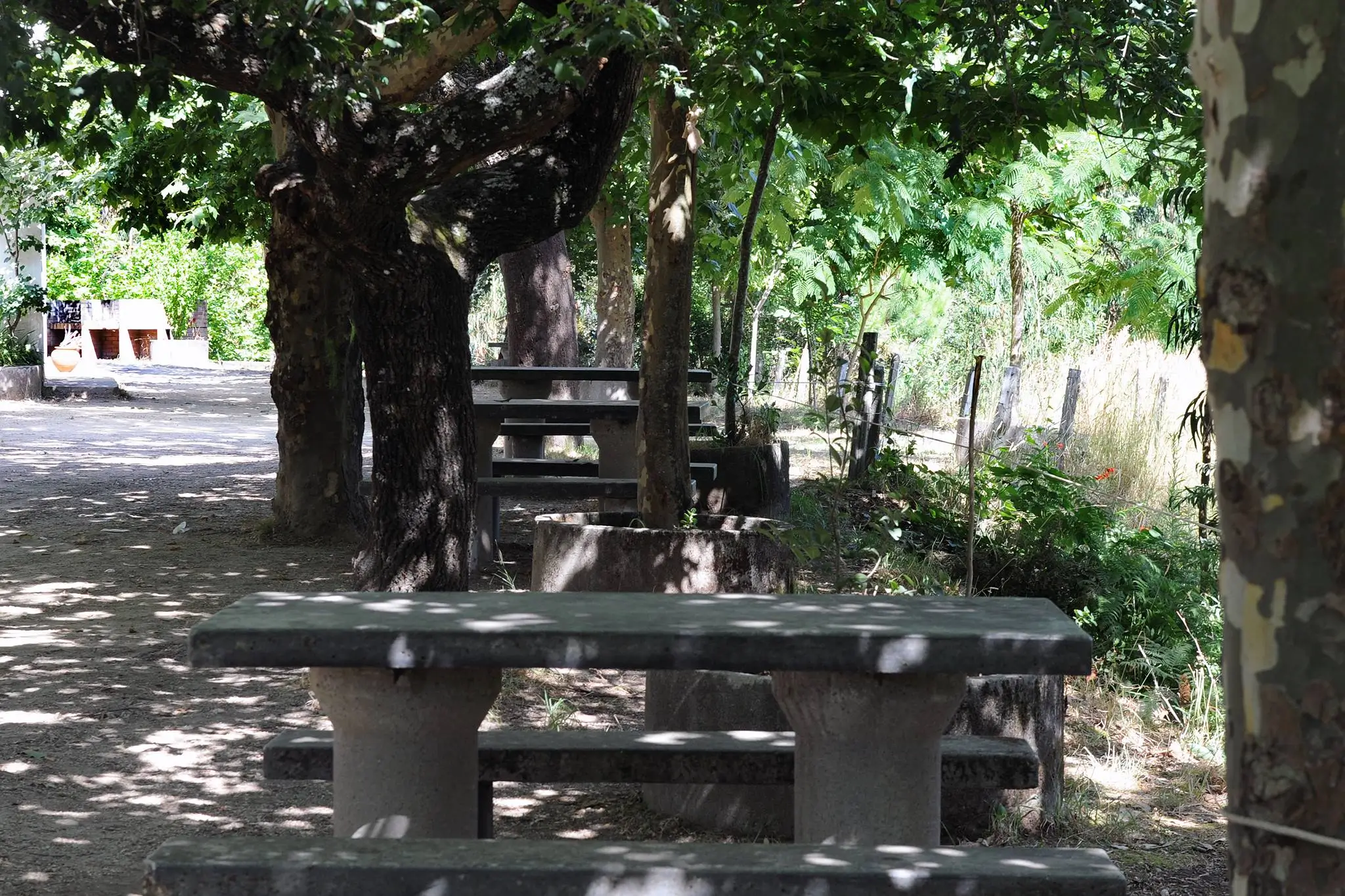 Parque de Merendas do Monte de S. Filipe