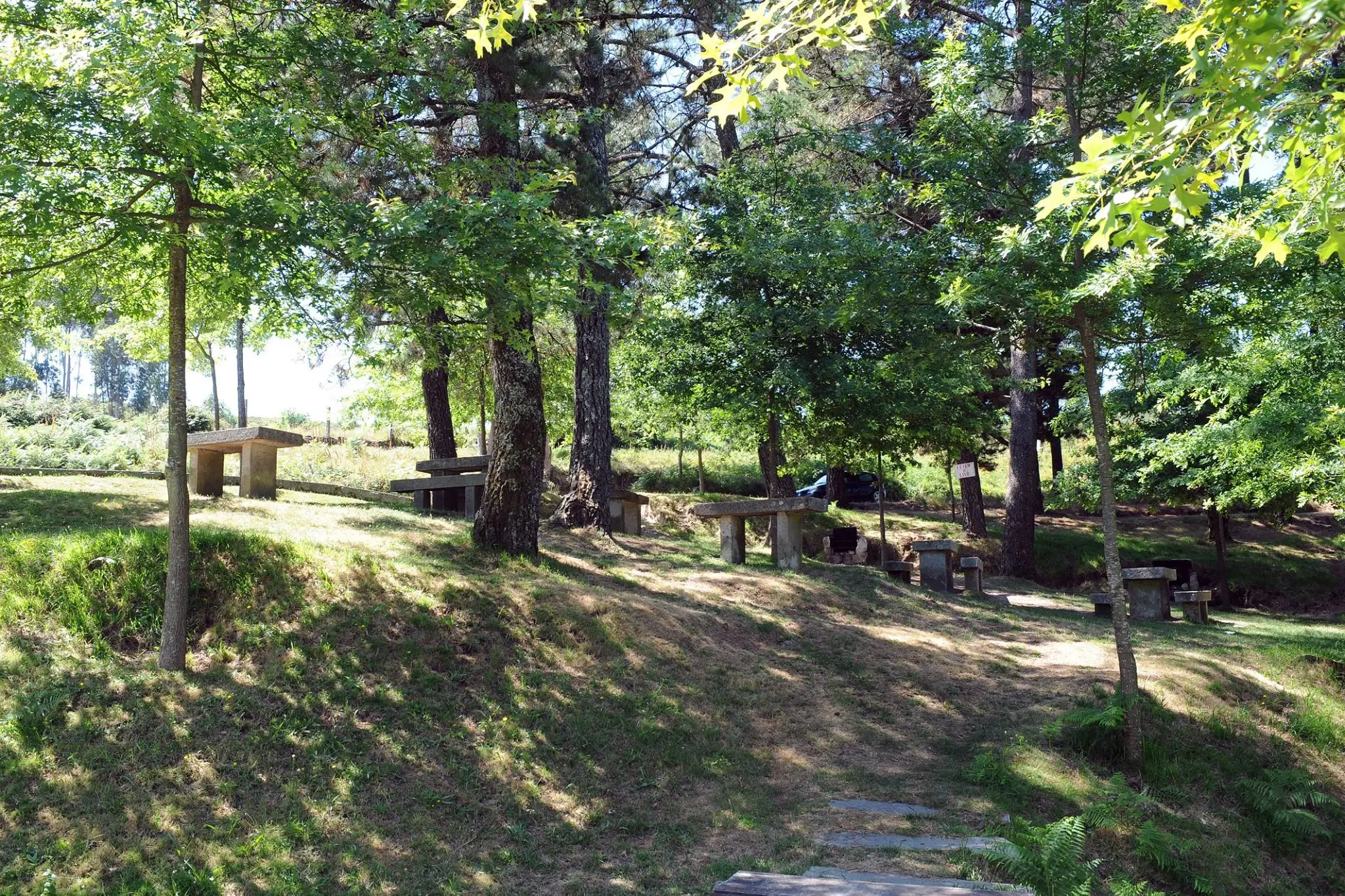 Parque da Nascente do Rio Este