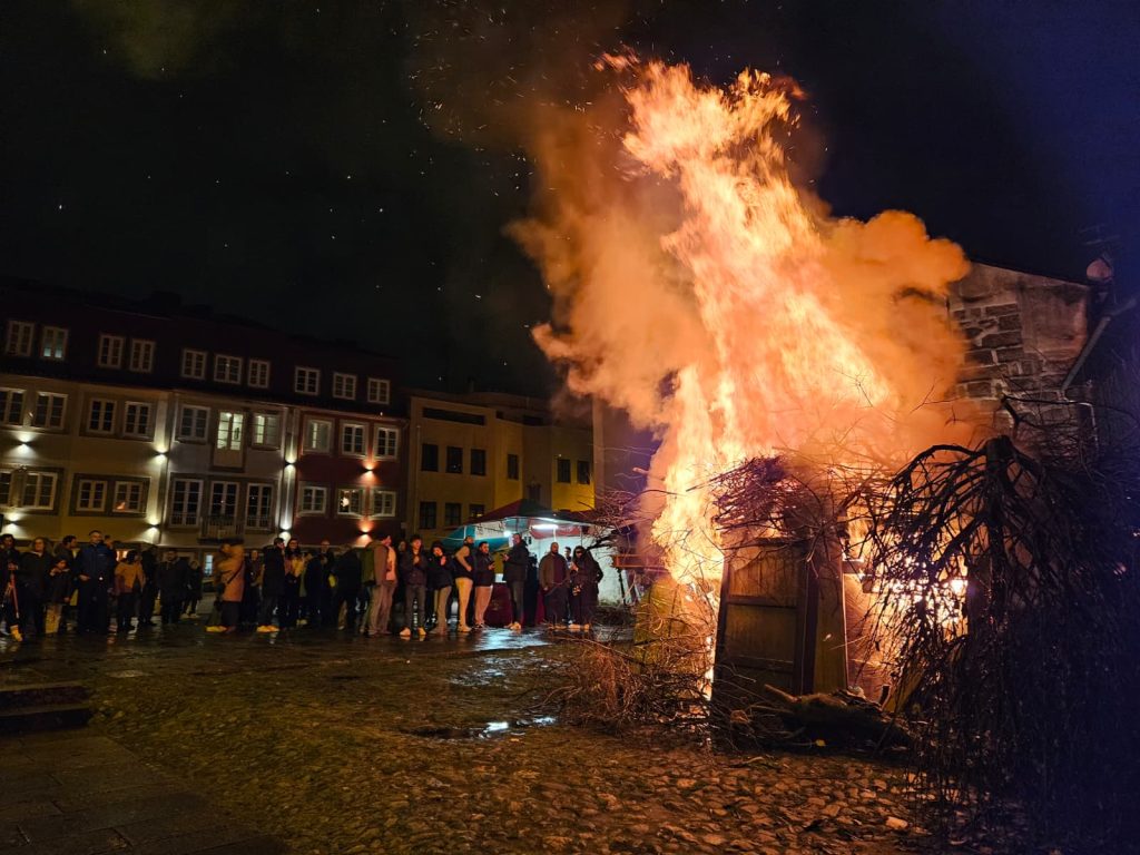 Romaria de São Vicente