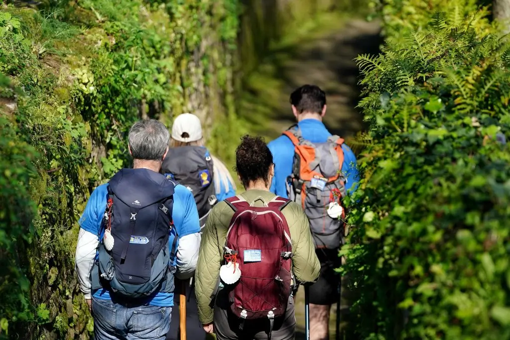 Caminho de Santiago de Torres