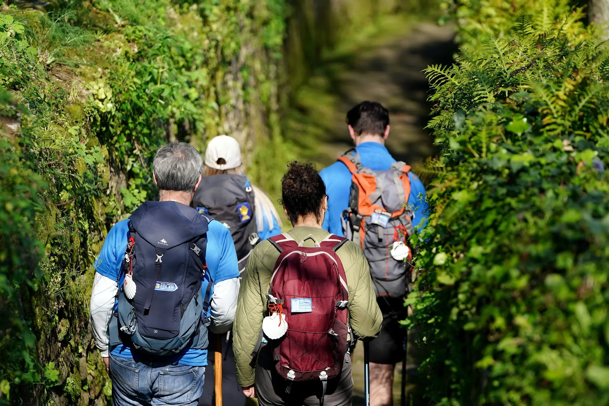 Caminho de Santiago de Torres