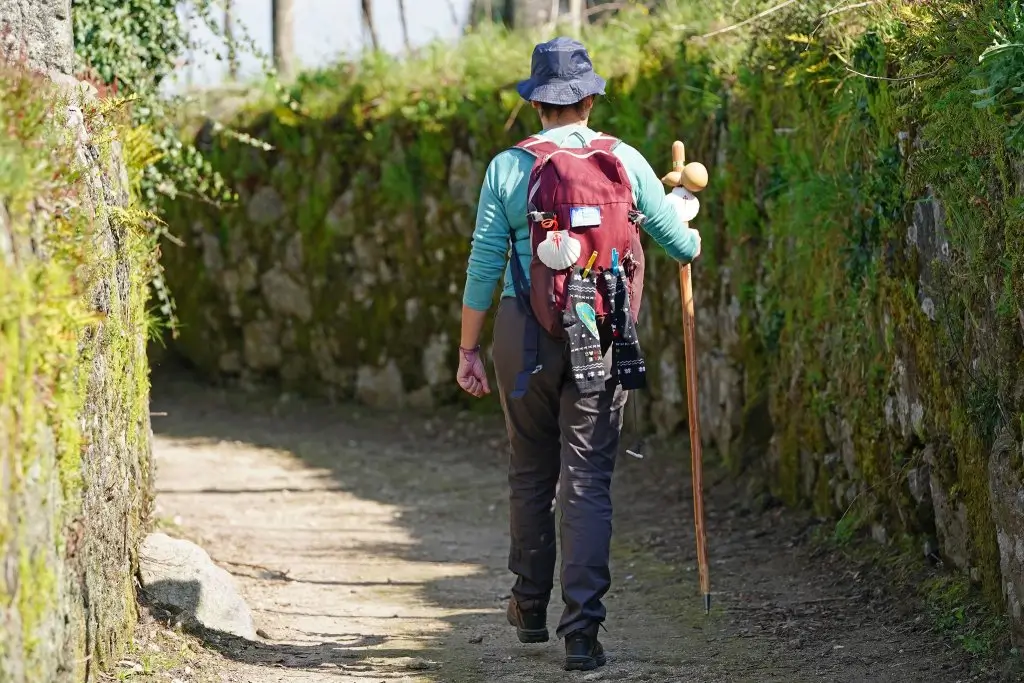 Caminho de Santiago Minhoto Ribeiro