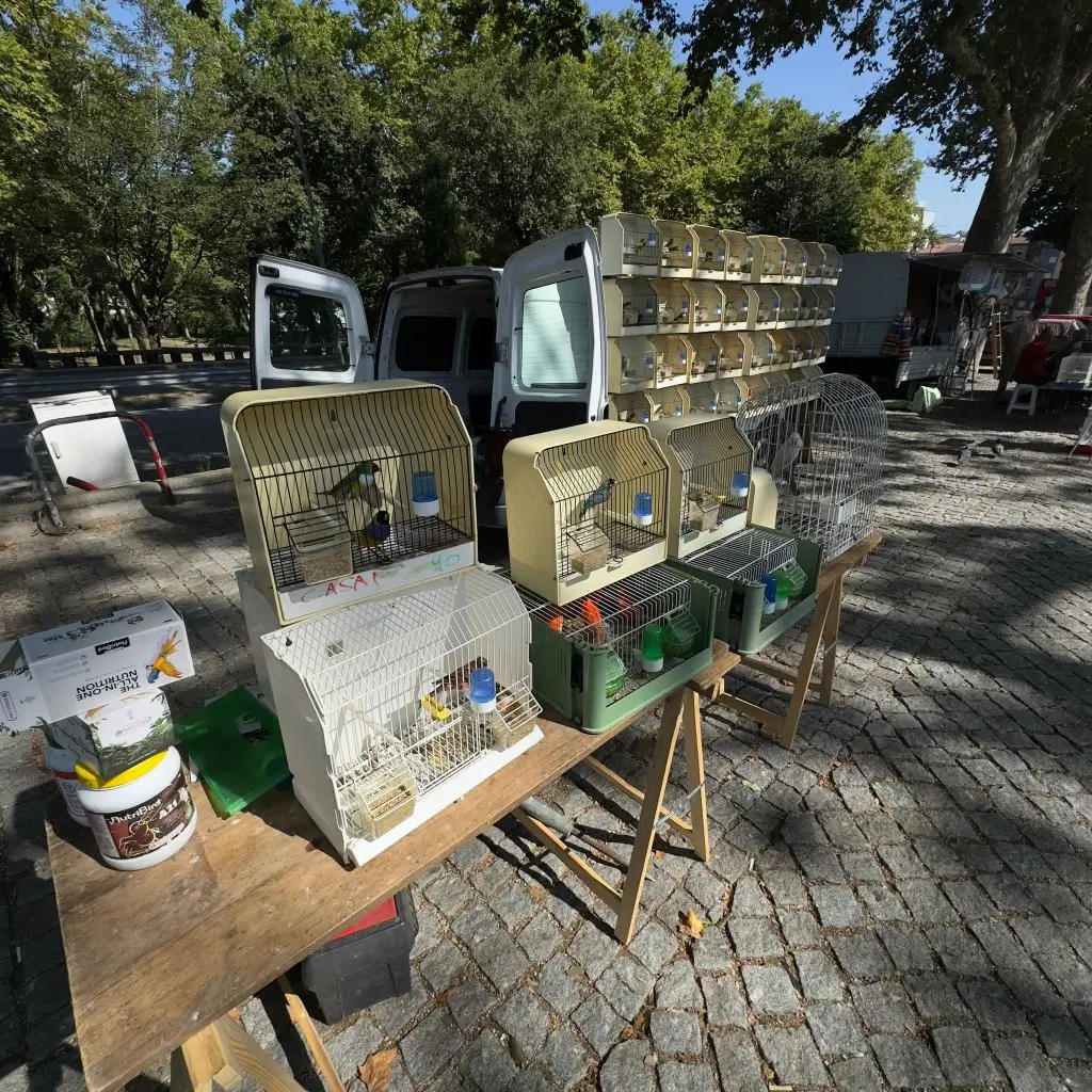 Feira dos Passarinhos