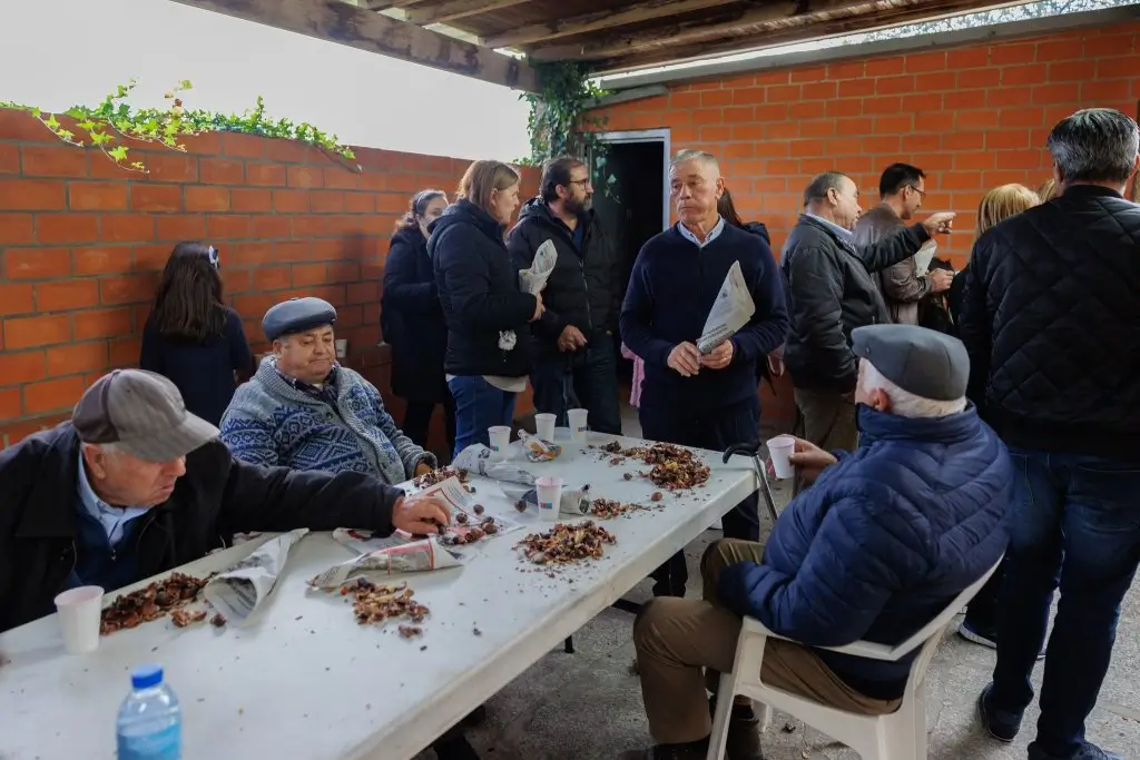 Magusto – Dia de São Martinho – Figueiredo