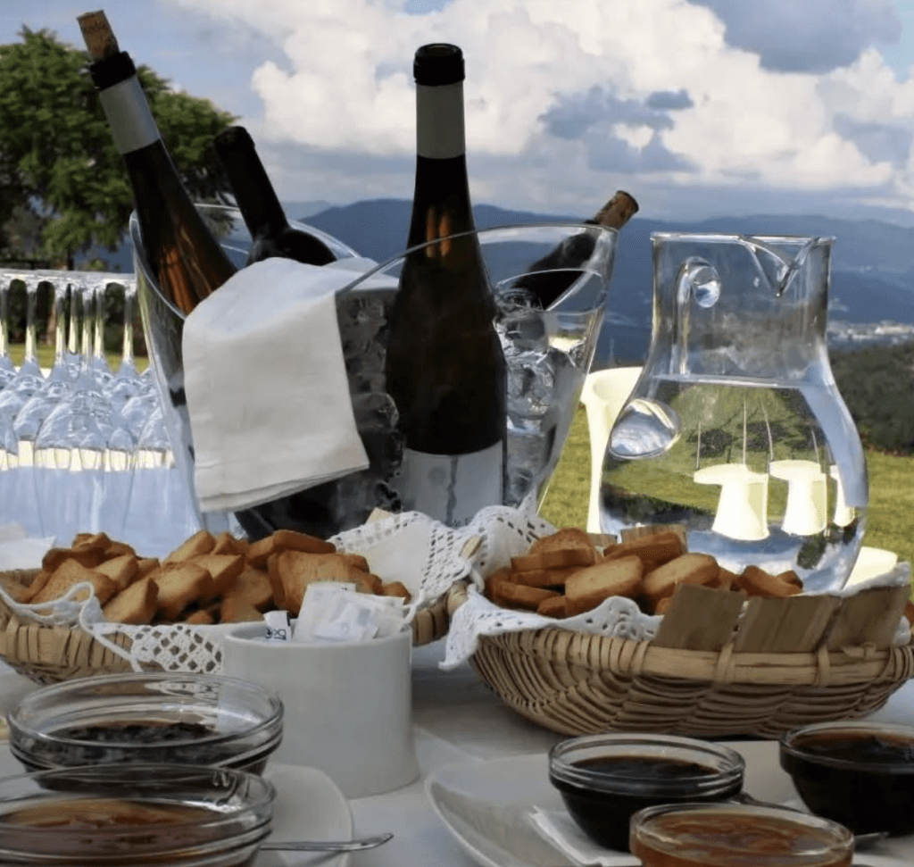 Vinhos Ecológicos Quinta Cova da Raposa
