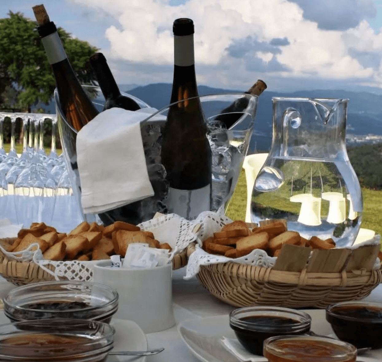Vinhos Ecológicos Quinta Cova da Raposa
