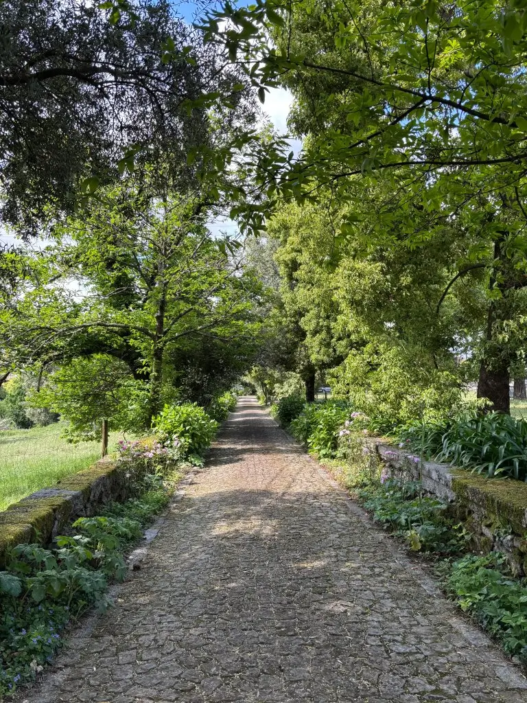 Jardins Históricos e Almoço Típico