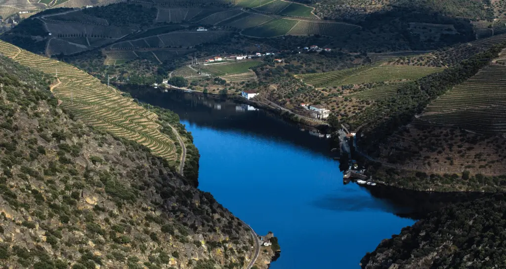 Comboio, Rabelo e Vinho no Douro